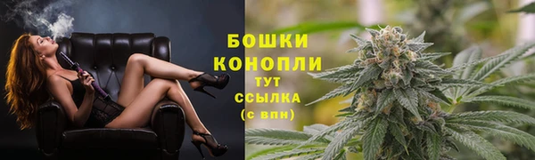 мдпв Волосово